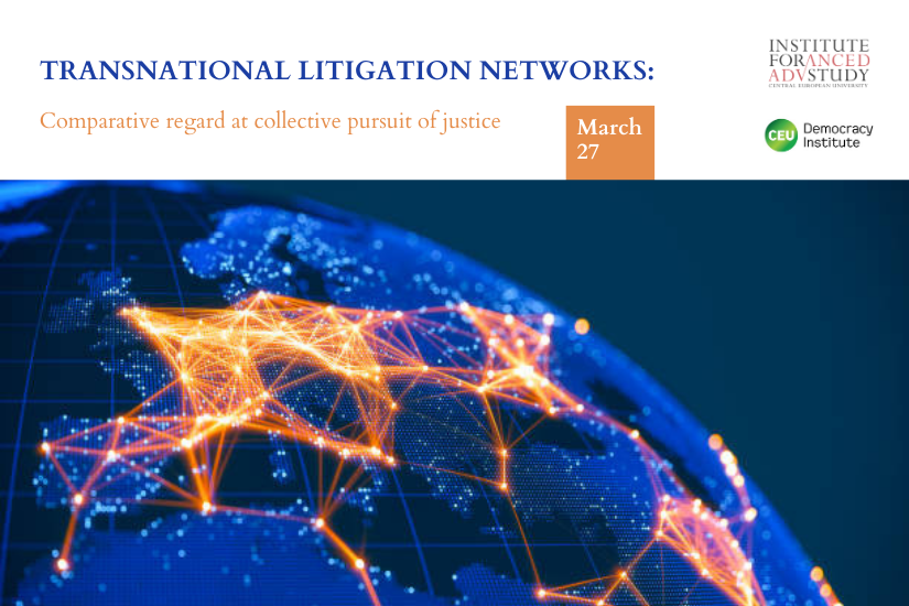 Transnational litigation networks cover image