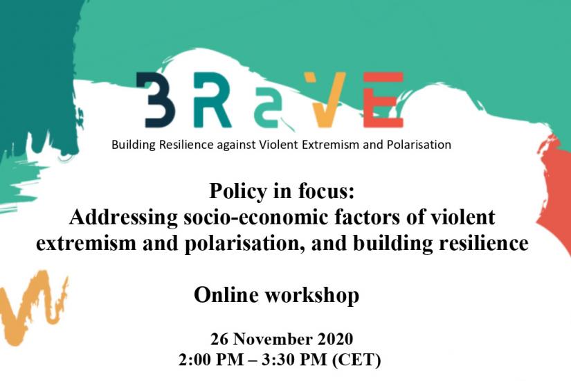 BRaVE Project: Policy in Focus Online Workshop