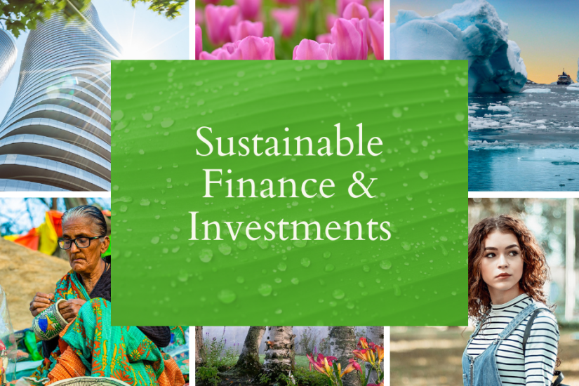Sustainable Finance and Investments course info session