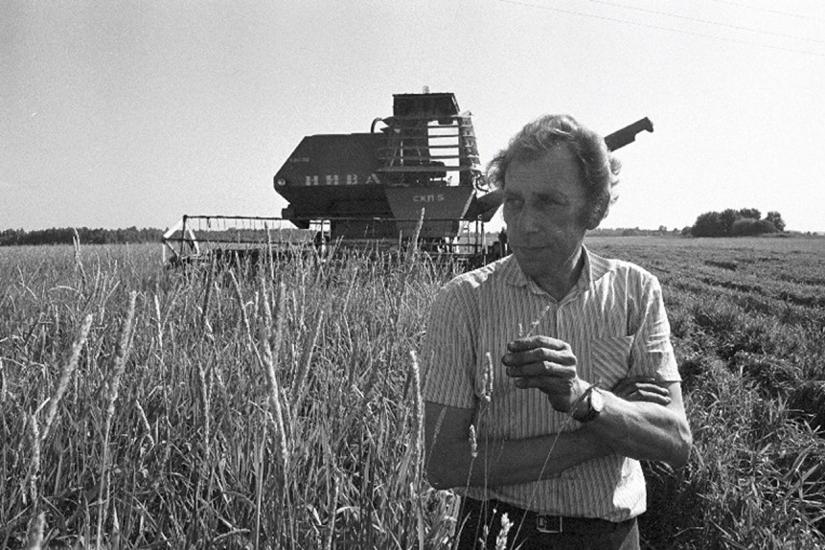 Rahva Võit Kolkhoz, Harju County, Estonia, 1980 (Photograph by Harald Leppikson, National Archives of Estonia EFA.546.0.297279)