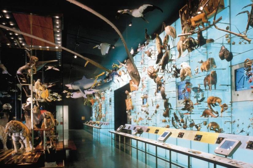https://raai.com/project/hall-of-biodiversity-american-museum-of-natural-history/ 