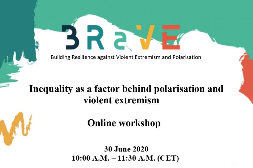 Inequality as a factor behind polarisation and violent extremism 